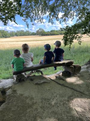 Ausflug in den Wald